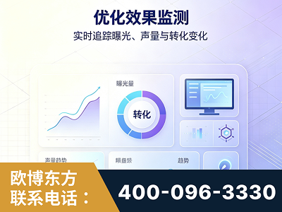 六安-优化效果监测