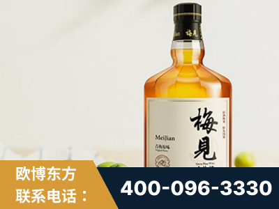 六安-梅见青梅酒